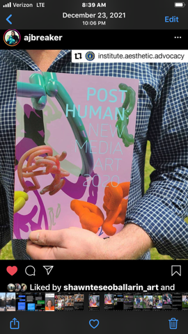 The Institute for Aesthetic Advocacy