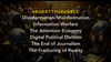 DISINFORMATION and POLITICAL DIVISION