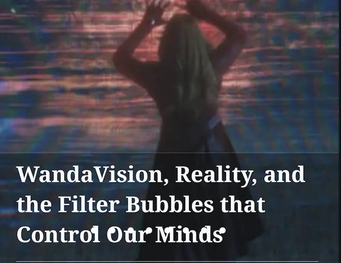 DISINFORMATION and POLITICAL DIVISION