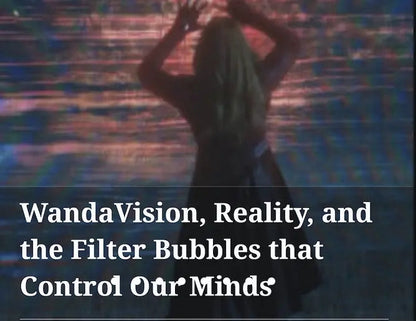 DISINFORMATION and POLITICAL DIVISION