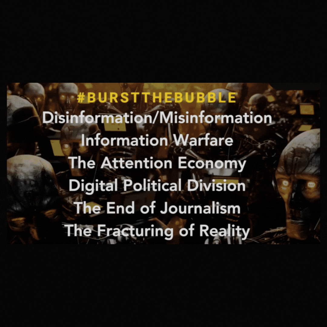DISINFORMATION and POLITICAL DIVISION