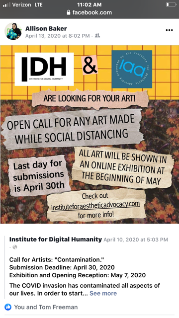 DISINFORMATION and POLITICAL DIVISION