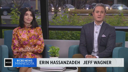 DISINFORMATION and POLITICAL DIVISION