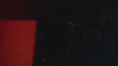 DISINFORMATION and POLITICAL DIVISION