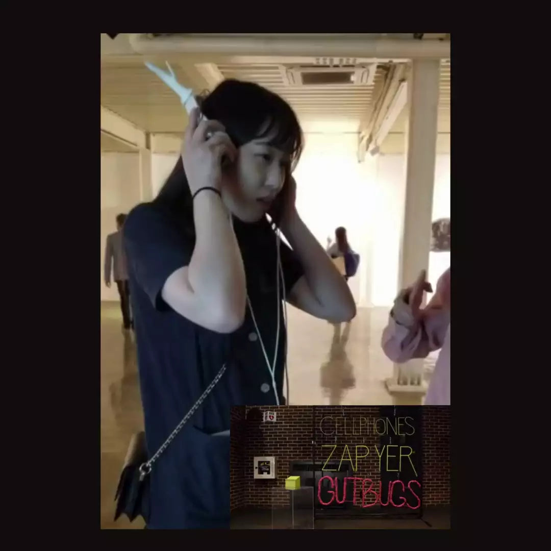 DISINFORMATION and POLITICAL DIVISION